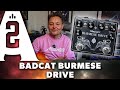 Bad Cat Burmese Dual Vintage Overdrive Pedal - Playing Only Demo