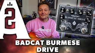 Bad Cat Burmese Dual Vintage Overdrive Pedal - Playing Only Demo