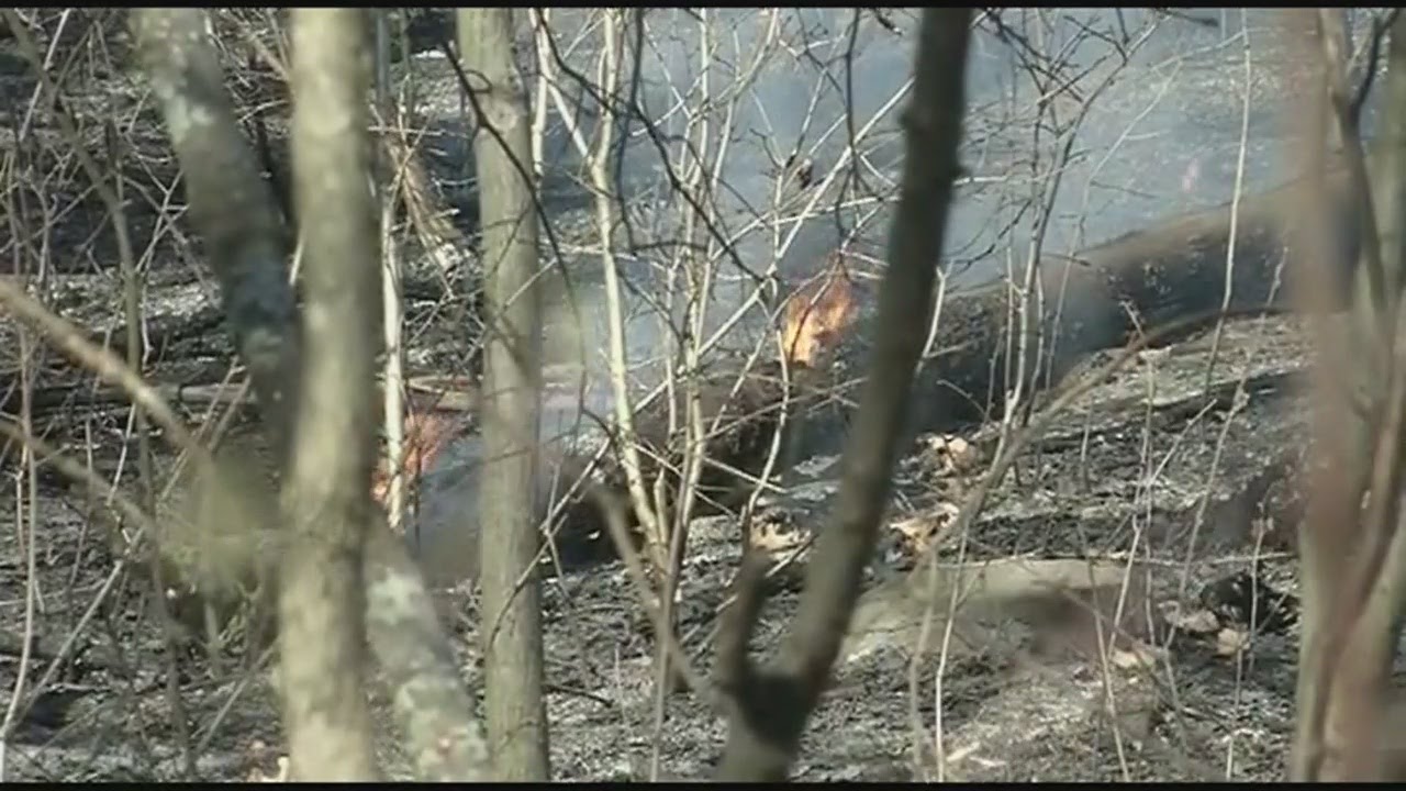 Brush fire behind Jarvis Heights apartments in Holyoke YouTube