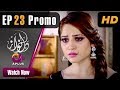 Watch Dil Nawaz - Episode 23 Promo | Aplus ᴴᴰ Dramas | Neelam Muneer, Aijaz Aslam, Minal | Pakistani Drama Online In HD