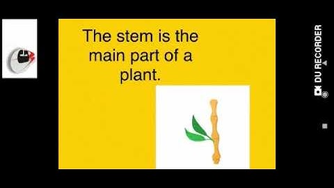 Grade 1 Evs Dated 10 08 2021