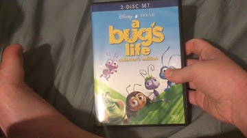 2 Different Versions of A Bug