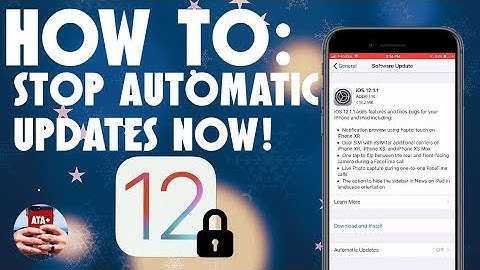 HOW TO: STOP AUTOMATIC UPDATES NOW!