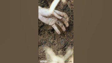 ASMR of Soil Testing