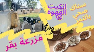 كرات الطاقة من سناب اروى العمراني و زيارة مزارع امريكا