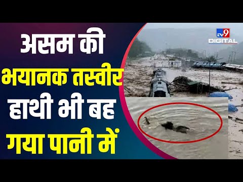 Assam Flood: असम में लगातार बारिश से बाढ़ के हालात, 20 जिलों पर बाढ़ का असर | Nagaon | Hojai