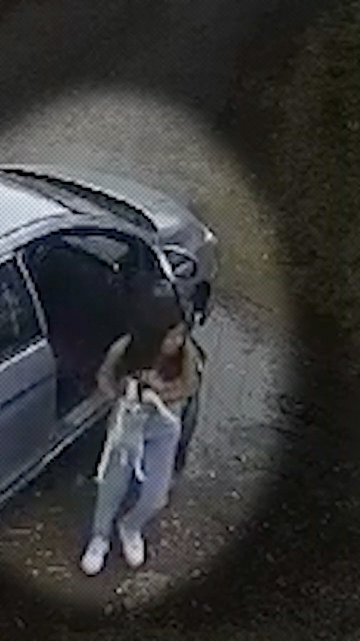 Dejó a sus perritos y ellos la corretearon por 1 kilómetro