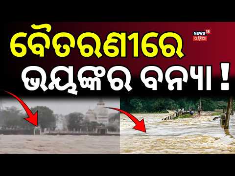 ବୈତରଣୀରେ ଭୟଙ୍କର ବନ୍ଯା !Baitarani Flood Worsens | Flood in Odisha | Kendujhar | Jajpur | Bhadrak News