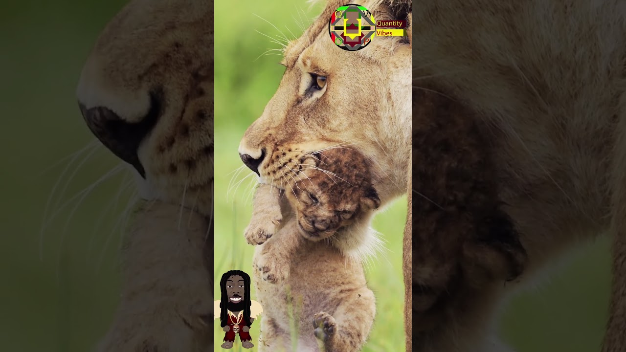 Lioness Power and Care