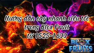 Hướng dẫn cách cày nhanh siêu tốc từ 1525-1600 trong Blox Fruit|Roblox