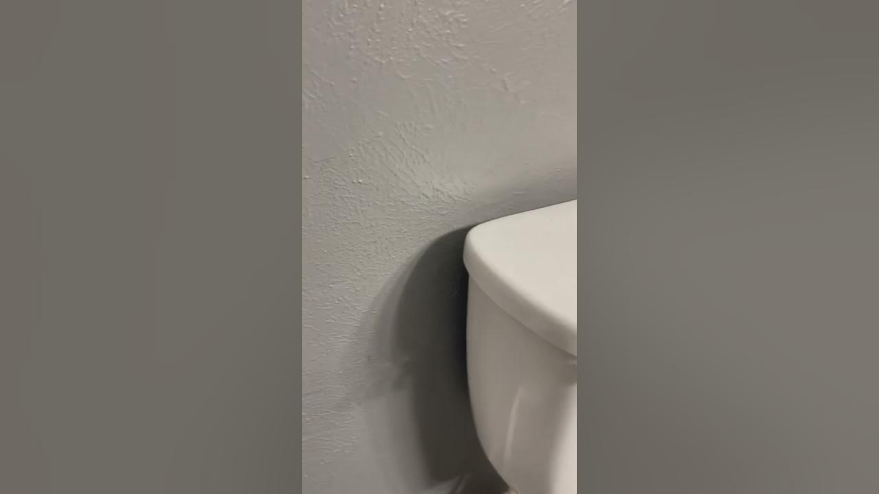 Fixing Broken toilet lid/top YouTube