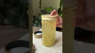 DIY Probiotic Soda with Ginger Bug