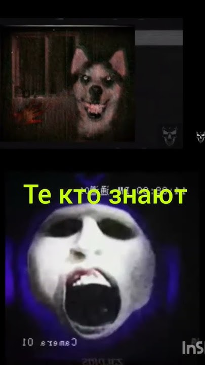 смайл дог - YouTube