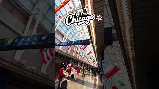 bitZANITY's Artist Alley Adventure - Anime Central 2026