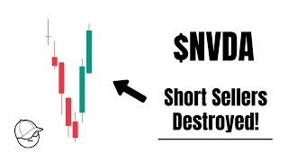 Nvidia Stock Shorts Sellers Demolished | Nvidia Stock Analysis