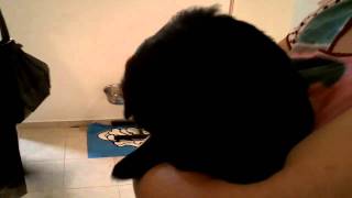 Download Lagu Nova MP3