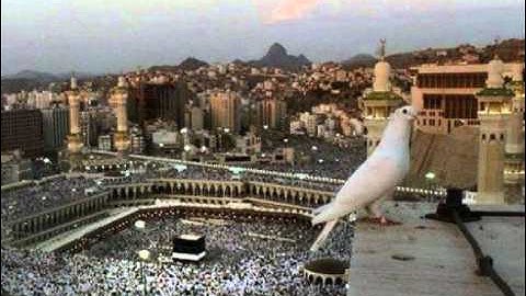 سورة الرعد 1-4.