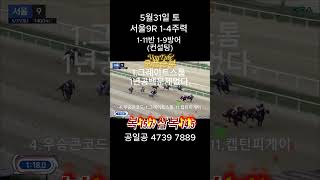 제주제라한tv#경마컨설팅 #제주경마#서울경마#부산경마#승부경주#적중#경마컨설팅tv#