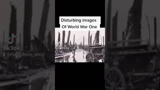 Disturbing images Of World War One #ww1 #warshorts #disturbing screenshot 5