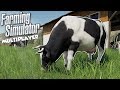 BAD FARMERS START DAIRY COW FARM! - Farming Simulator 19 Multiplayer Gameplay