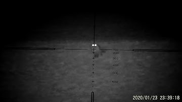 Fox shot with 223 and pard nv007