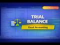 Trial Balance in Excel | Prepare Trial Balance from Ledger (Step-by-Step)