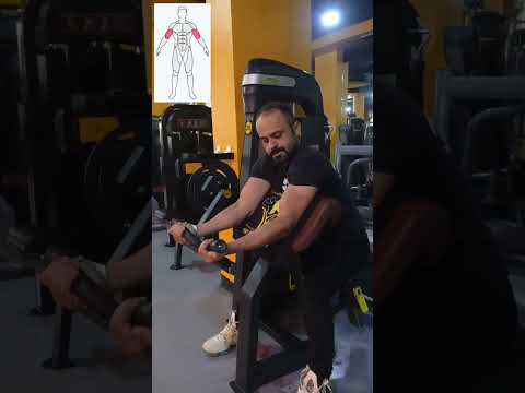 SCOTT CURL MACHİNE