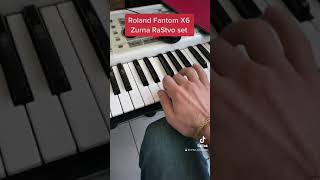 Zurna New - Roland X6