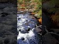 Relaxing Waterfall & Fall Colors: Great Blue Heron Sighting