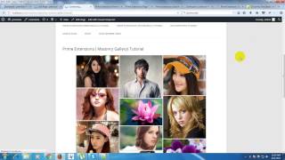 Prime Extensions For Visual Composer ( Masonry Gallery ) Video Tutorial