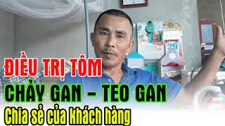 CÁCH ĐIỀU TRỊ TÔM BỊ VÀNG GAN CHẢY GAN VÀ TEO GAN I Trần Quang Huy official.