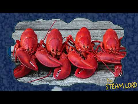 LOBSTERS FOR DINNER