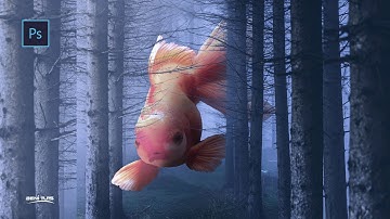 Fish In Forest Photoshop Manipulation Tutorial - Speed Art