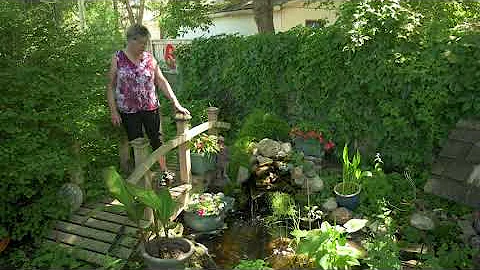 Janice's Tranquil Pond - Water Feature Garden (Vir...