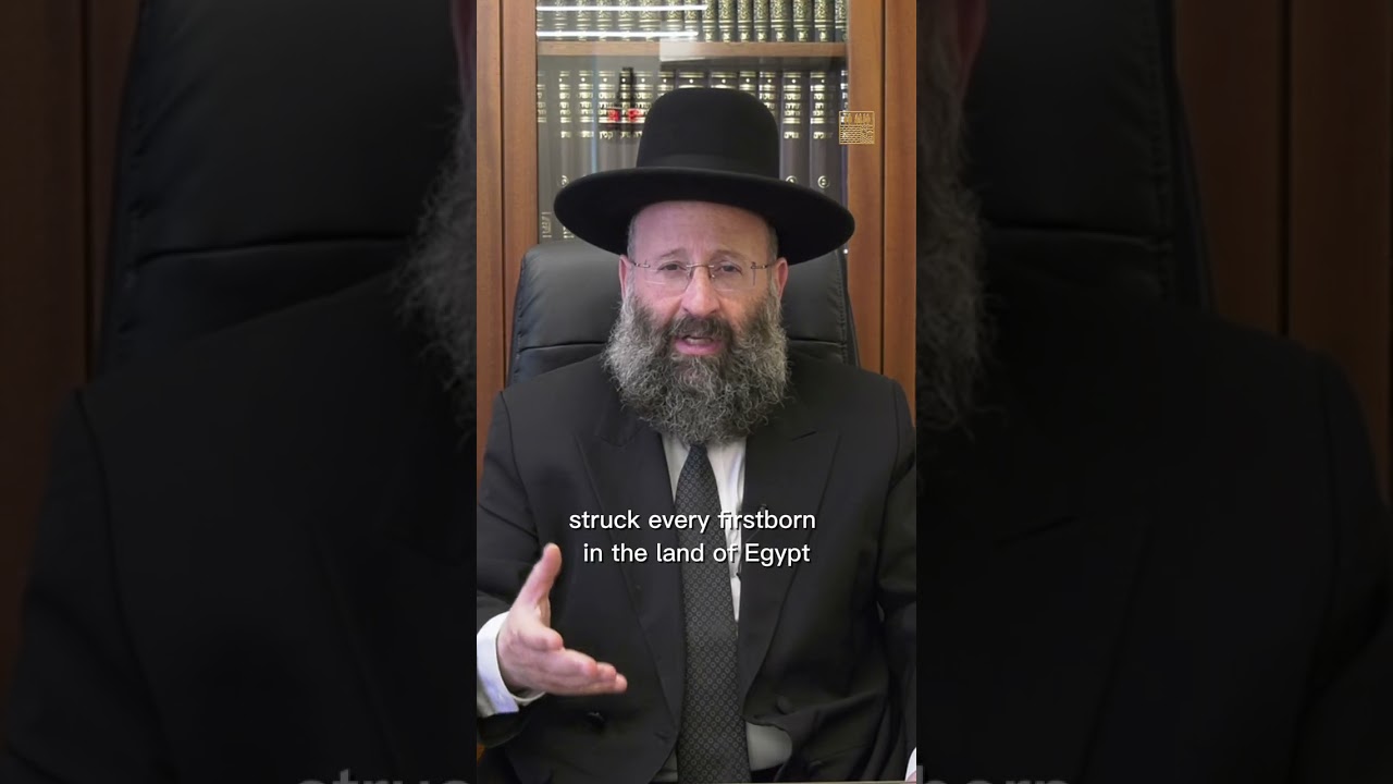 פרשת השבוע - פרשת מטות מסעי