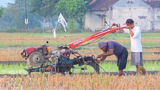 Young Operator and Senior Operator of G1000 Compact Rice Tractor Work Together
