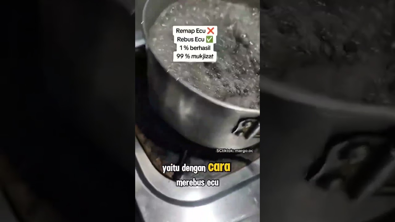 Cara Mengatasi ecu yang mati 