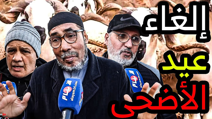 عاجل !! حكومة أخنوش وقرار إلغاء عيد الأضحى / أثمنة الحولي الصردي والخروف الاسباني و أغنام الدرويش