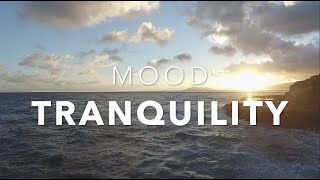 Relaxing Music For Sleep Meditation No Copyright Mood Videos