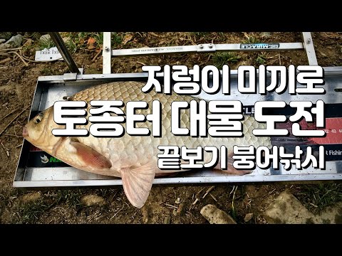 끝보기 붕어낚시, 지렁이로 토종터 <strong>대물</strong> 도전!, 겨울 캠핑 <strong>붕어</strong> <strong>낚시</strong>