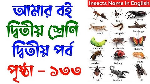 Amar Boi | Class 2 | Page 133 | Insects All Around | আমার বই | দ্বিতীয় শ্রেণি | পৃষ্ঠা ১৩৩