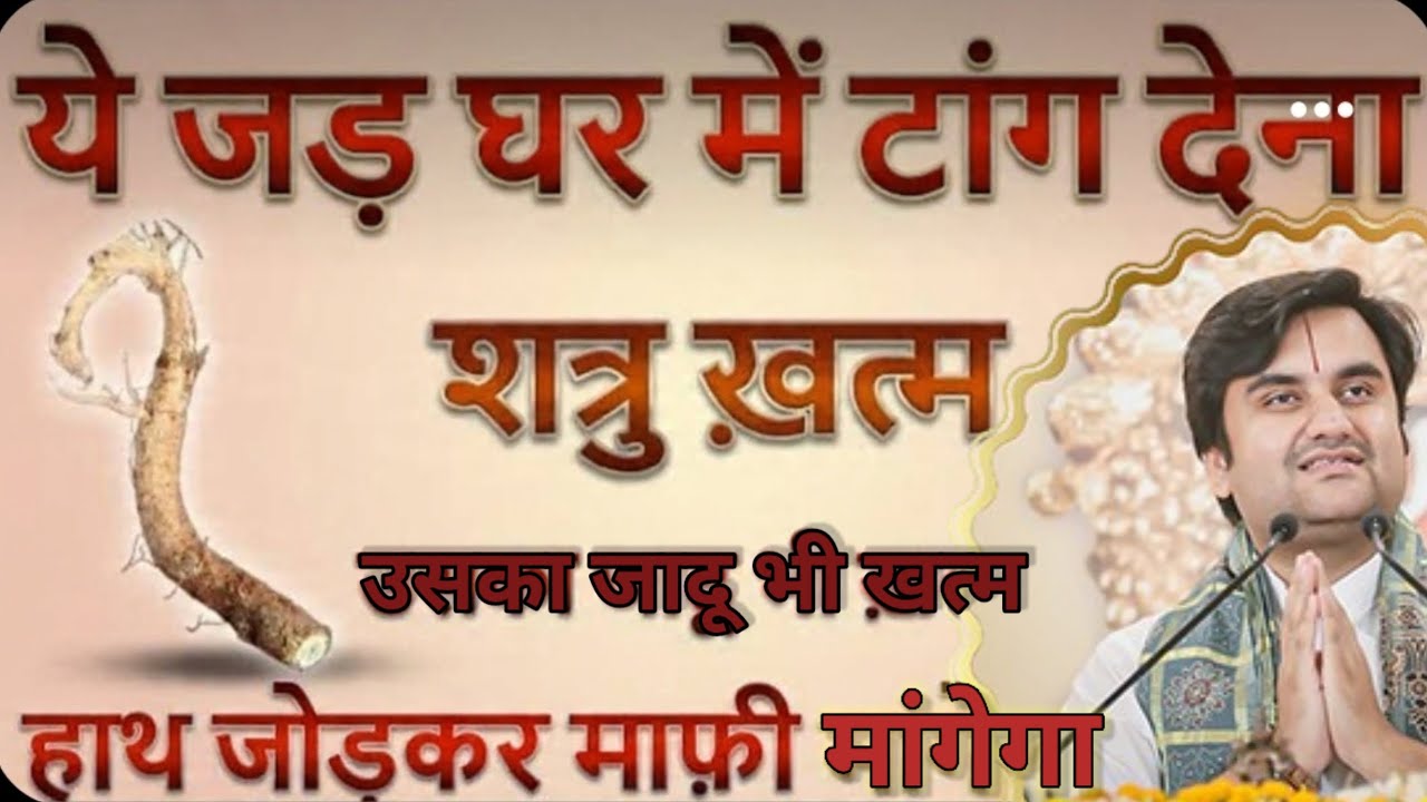 ये जड़ घर में टांग देना गरीबी ना मिट जाये तो कहना गारंटी है ! Premanand Ji Maharaj #Indreshji​