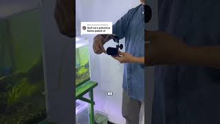 Tutorial cara pakai bio sponge filter aquarium tempel, filter aquarium #ikanhias #filteraquarium
