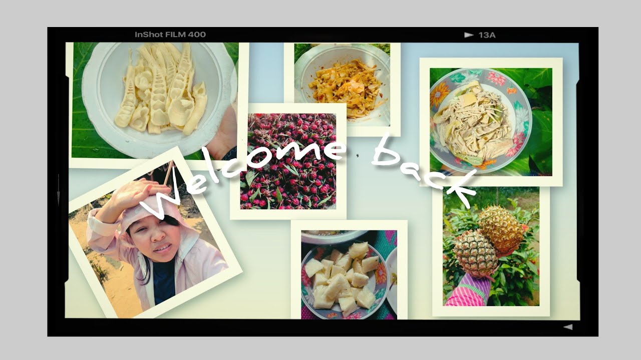 Ежедневные средства к существованию в сельской местности🏡: незаметные, но жизненно важные #северо...