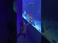 Sealifeaquariumatlegolandc5760