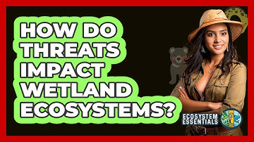 How Do Threats Impact Wetland Ecosystems? - Ecosystem Essentials