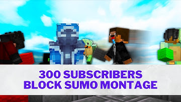 Block Sumo Montage - 300 Sub Special