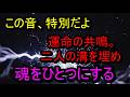 この音、特別だよ▶今再生▶運命の共鳴。二人の溝を埋め、魂をひとつに溶け合わせる波長