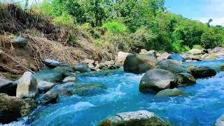 Calming River Flow 🌿 Relaxing Nature Sounds for Sleep, Meditation &amp; Peaceful Mind
