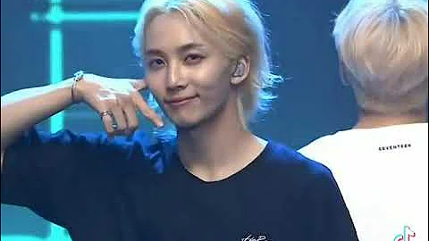 Seventeen Dokyeom and Jeonghan Pretty voices (Seventeen Random TikTok Video)